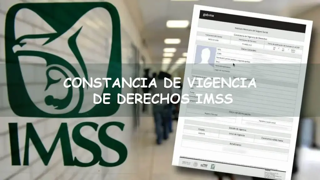 Obtener la constancia de vigencia de derechos IMSS Digital