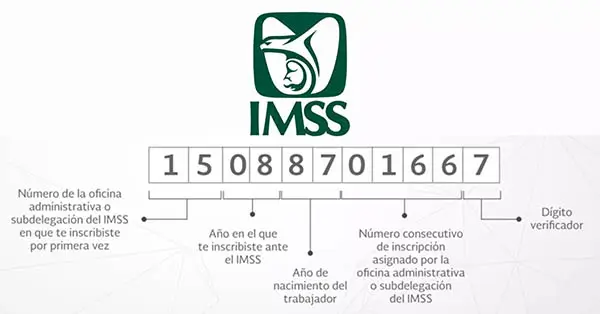 Composición del NSS. Dígitos.