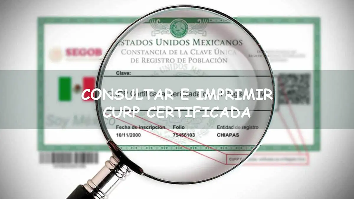 Consultar CURP en línea. Imprimir CURP gratis