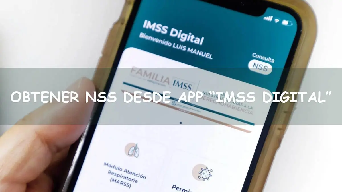 Obtener NSS desde aplicación de celular IMSS Digital