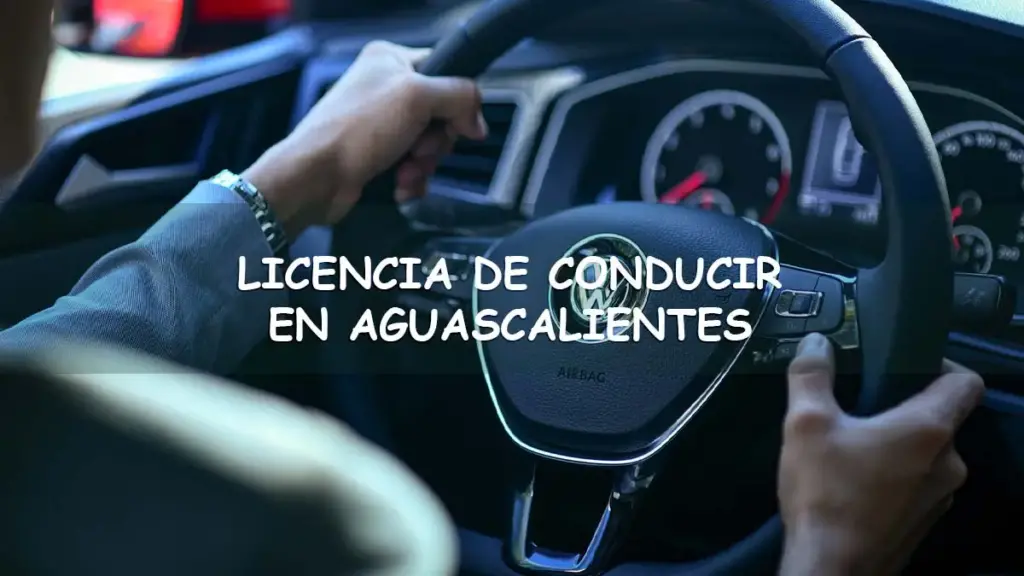 solicitar licencia de conducir en Aguascalientes