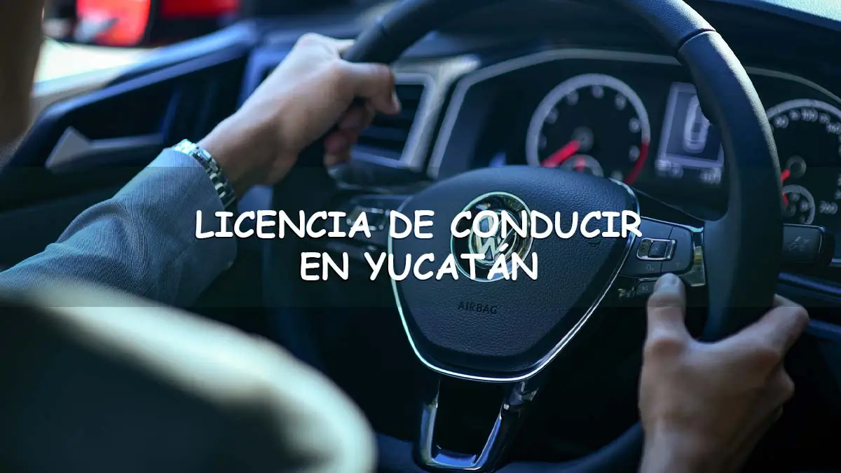 Sacar licencia de conducir por primera vez en Yucatán