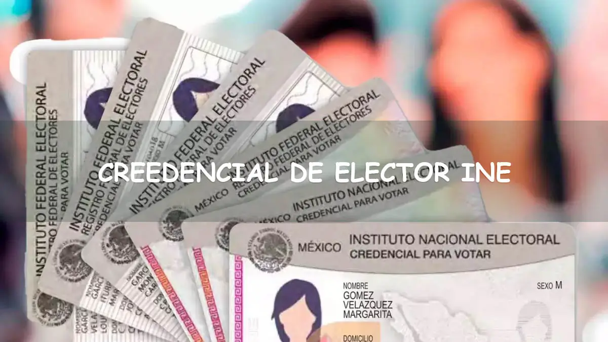 Requisitos para renovar INE 2024. Credenciales tamaño